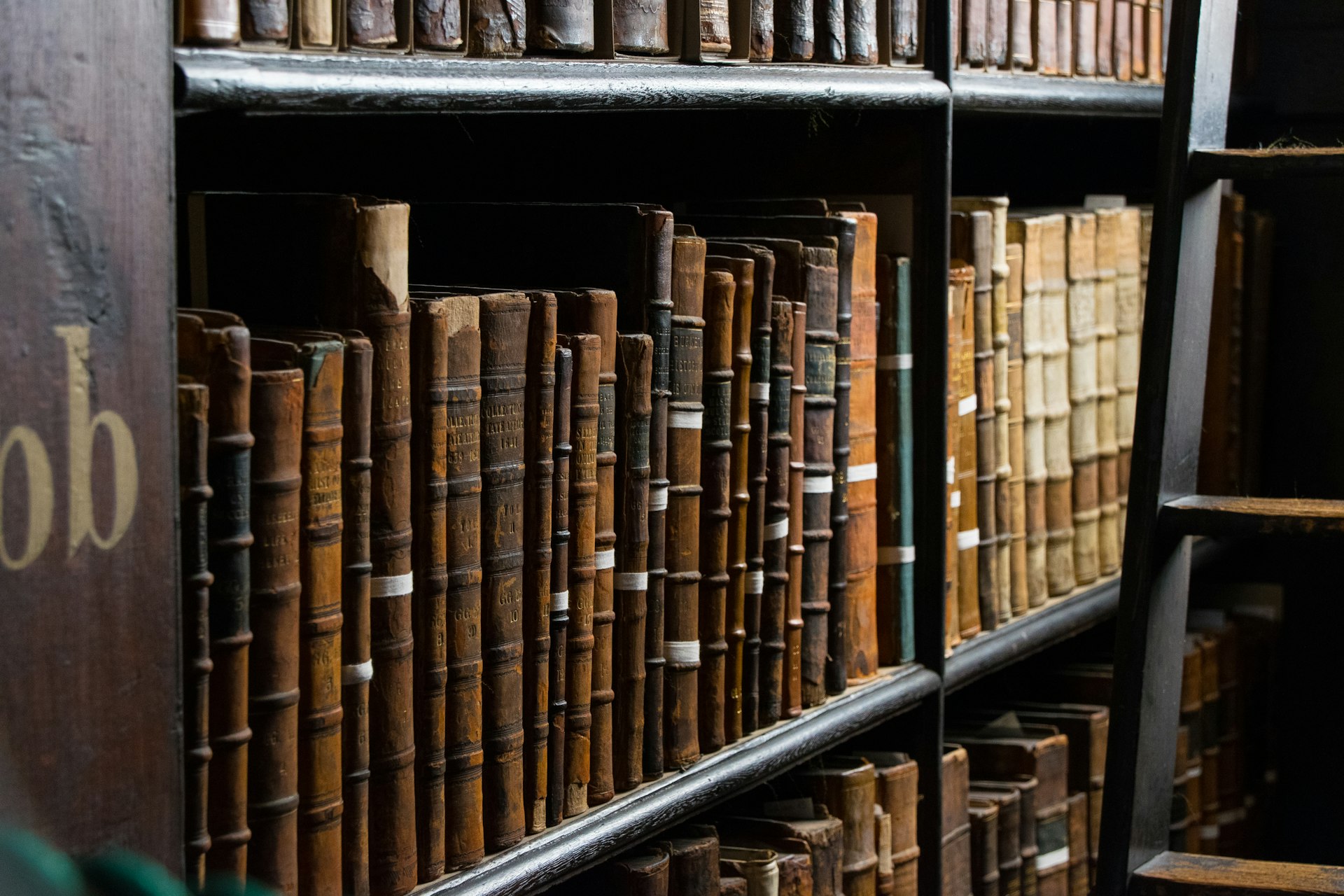books on bookshelf near ladder